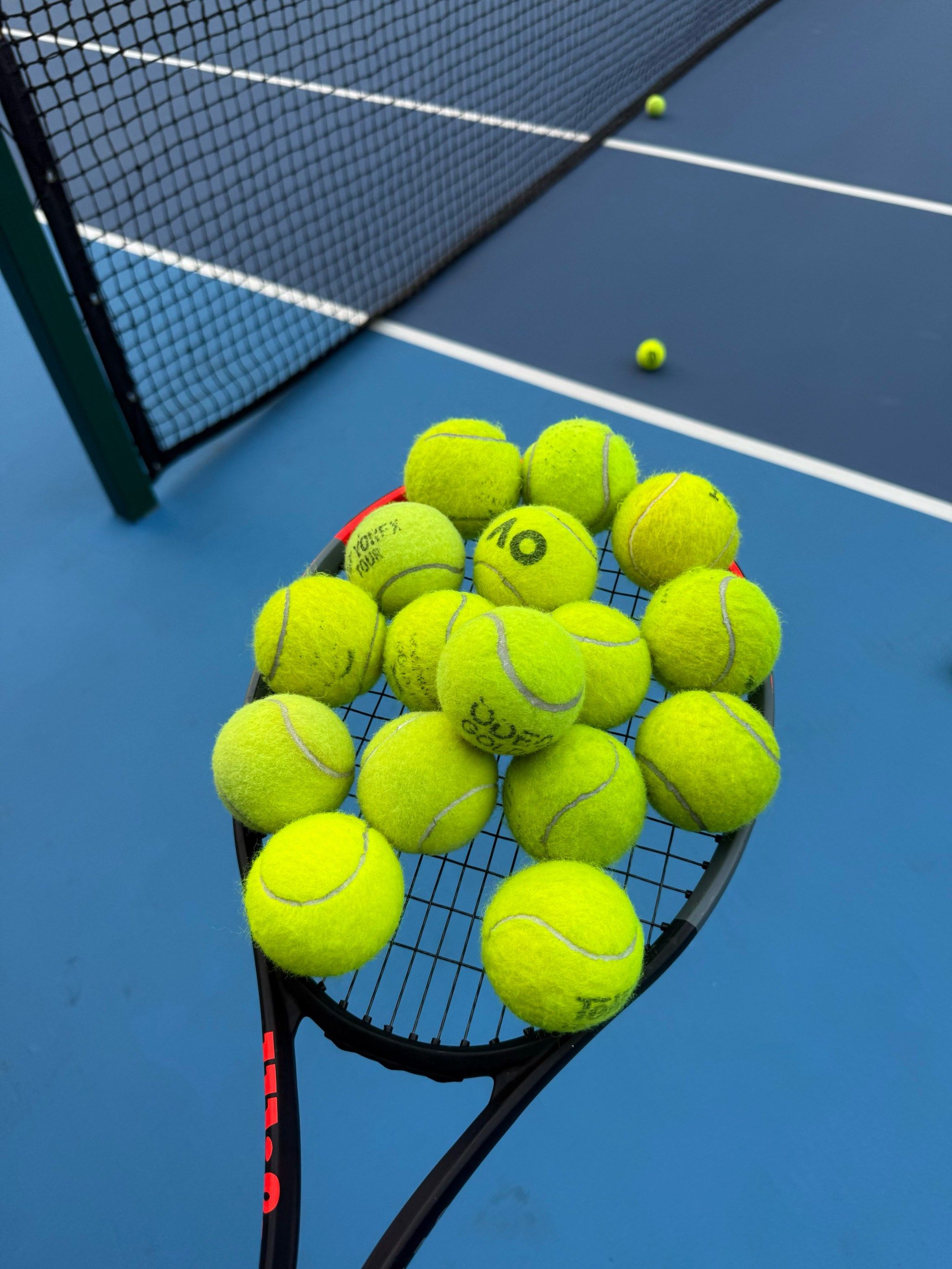 练的战术体 练的战术体