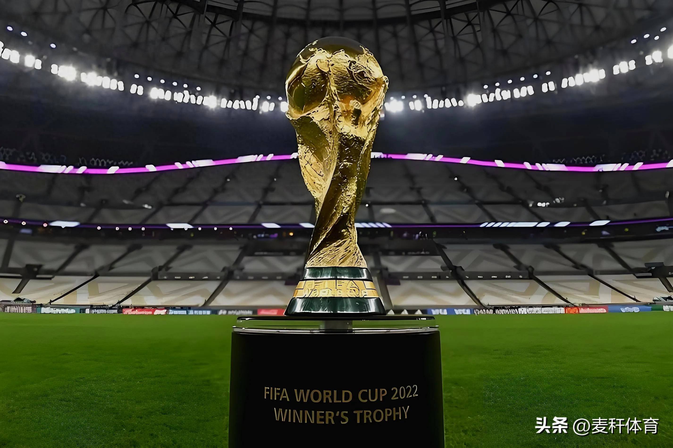 取得了胜利 取得了胜利