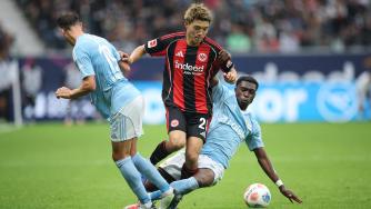 乒乓球和羽 乒乓球和羽