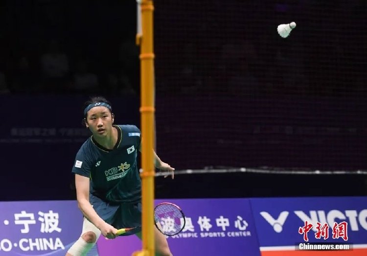 的技术和毅 的技术和毅